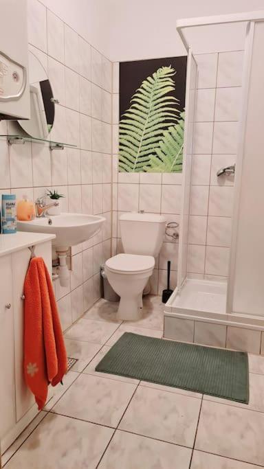 Przestronny 3 Sypialnie Na Filipa Apartment Krakow